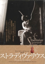 ストラド2011_チラシ表1